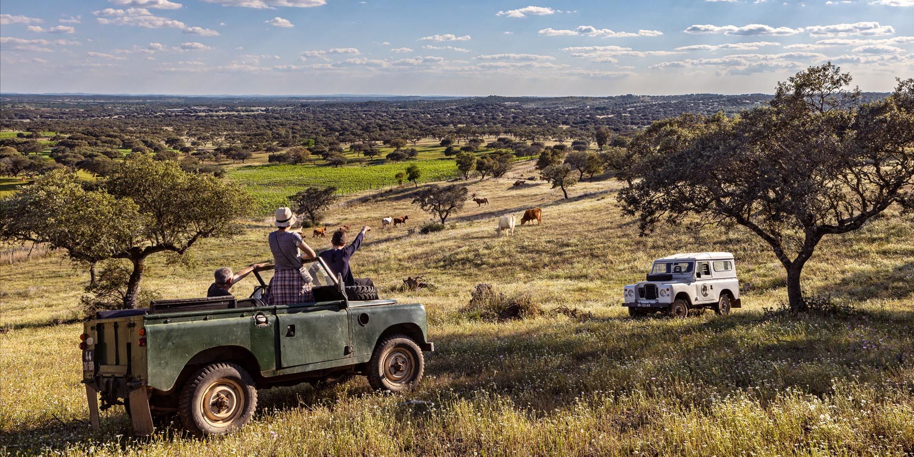 ALENTEJO CORK TREKKING