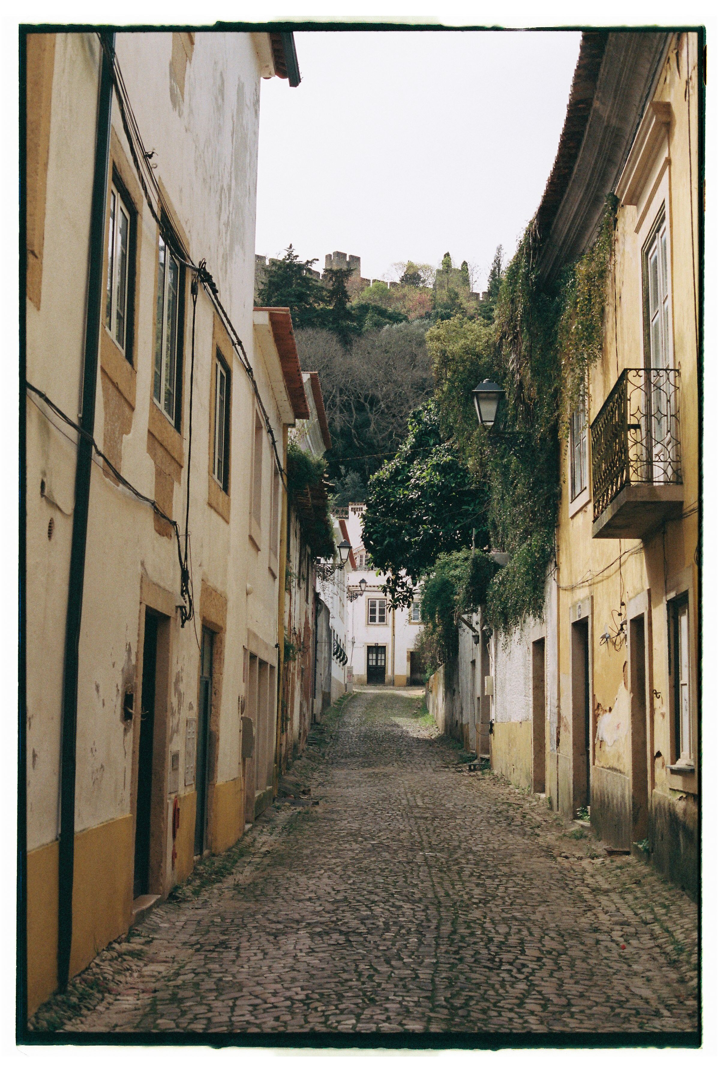 KNIGHTS & CASTLES: THE ULTIMATE TEMPLAR EXPERIENCE