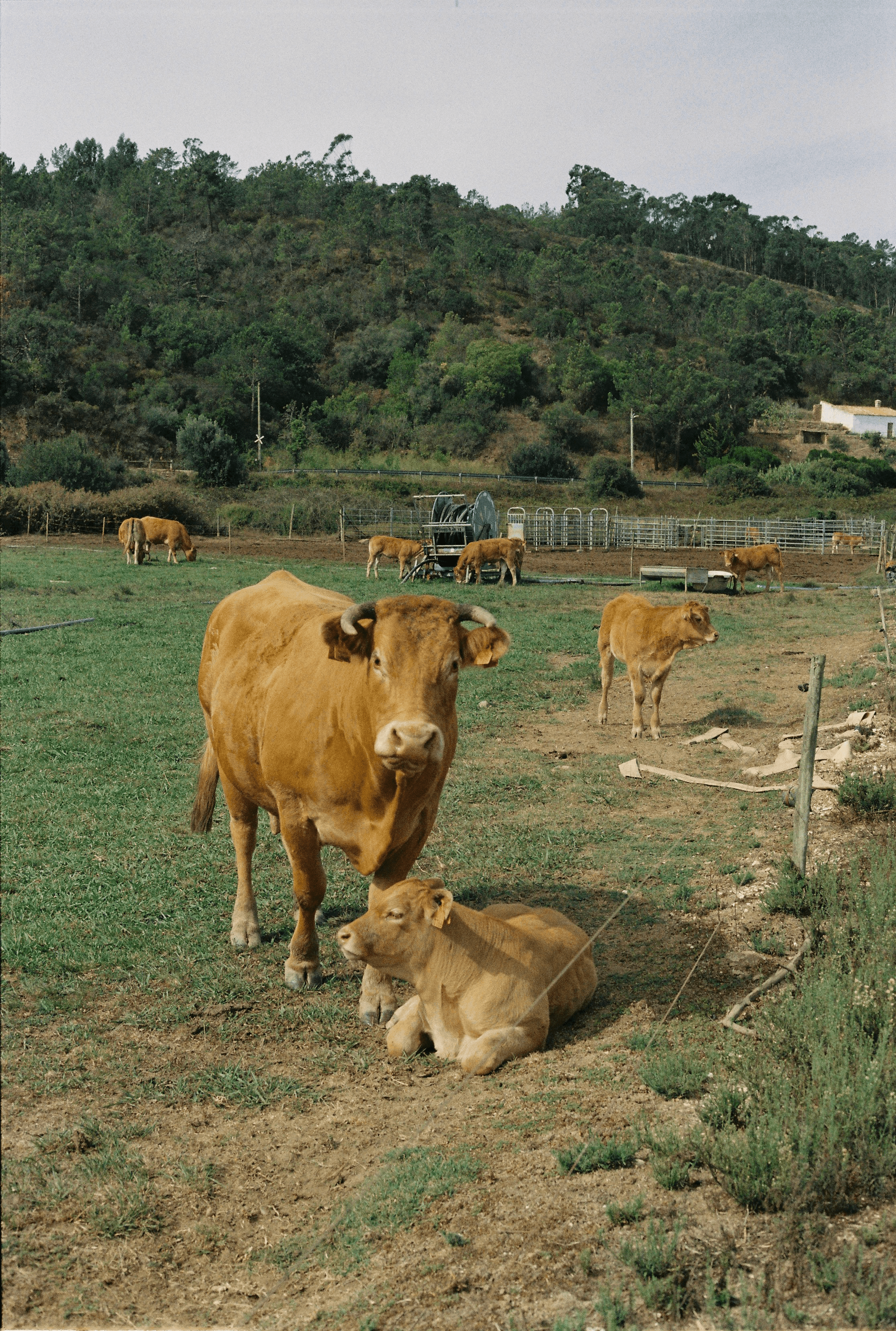 Traveling Outside the Box