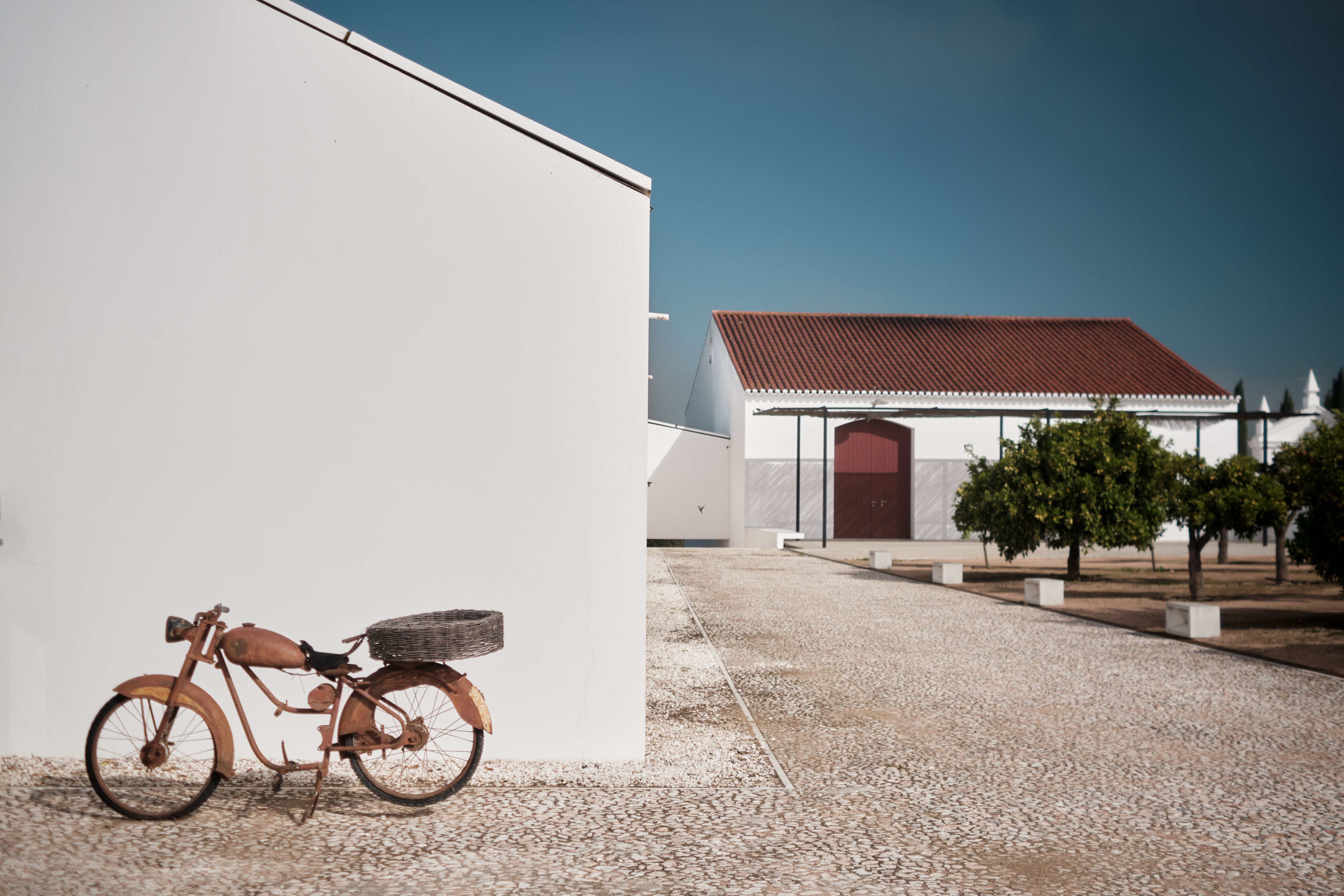 Day 4 | Torre de Palma Wine Hotel