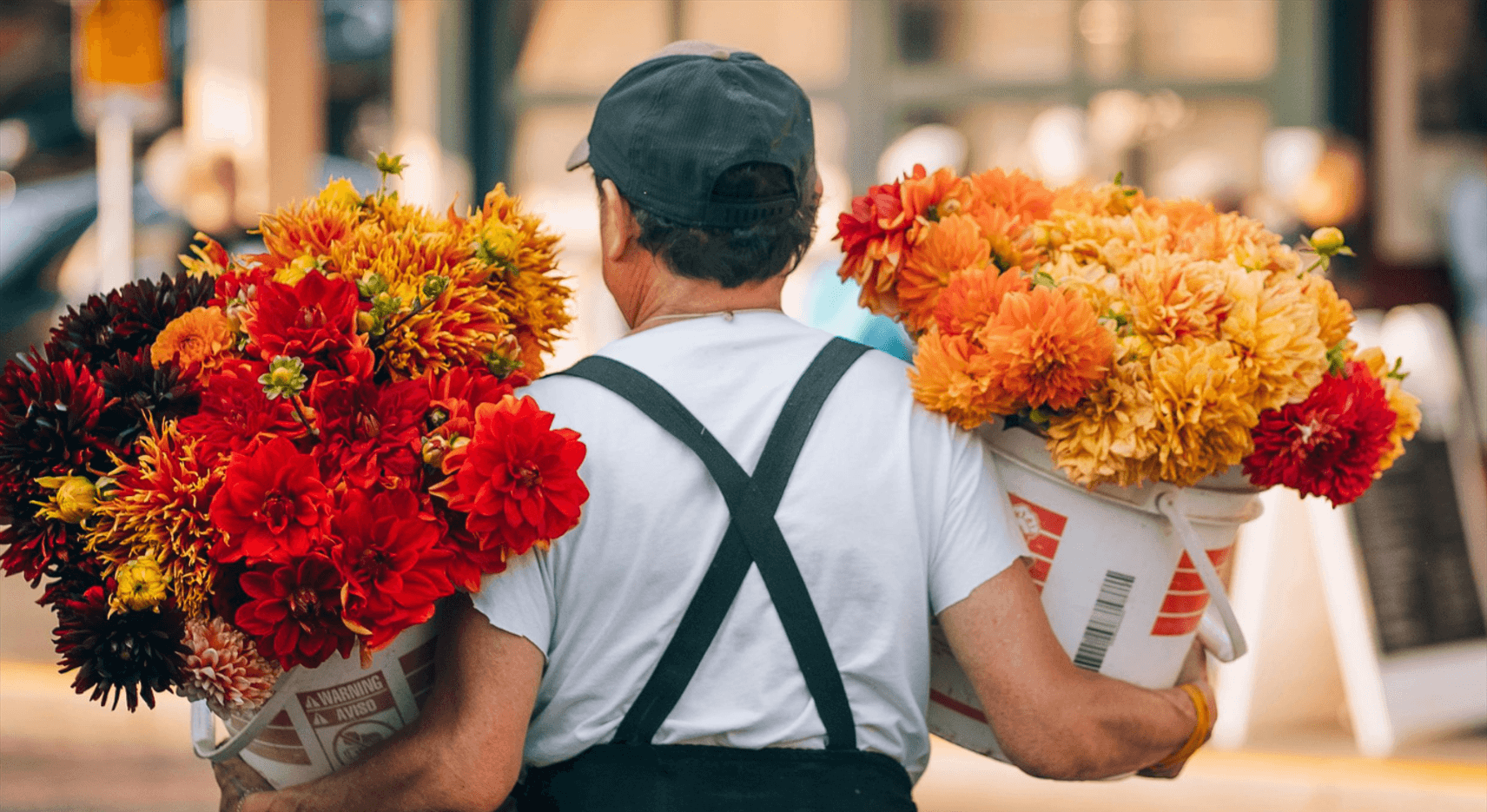 KNIGHTS & CASTLES: THE ULTIMATE TEMPLAR EXPERIENCE