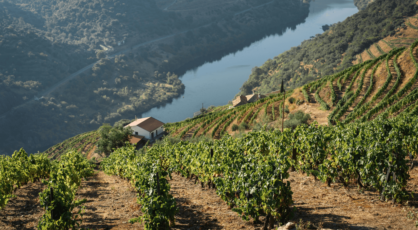DOURO VALLEY WINE TASTING