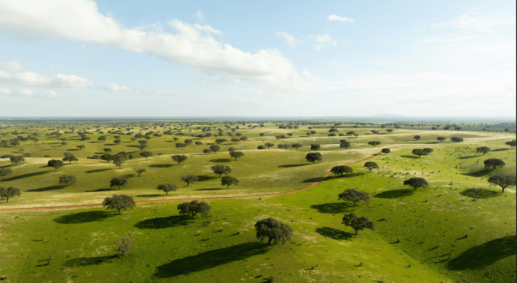 ALENTEJO CORK TREKKING