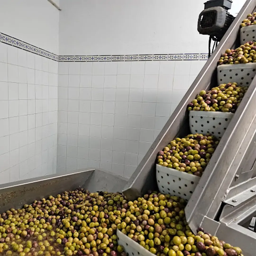 Day Three | Walking Tour + Leisure