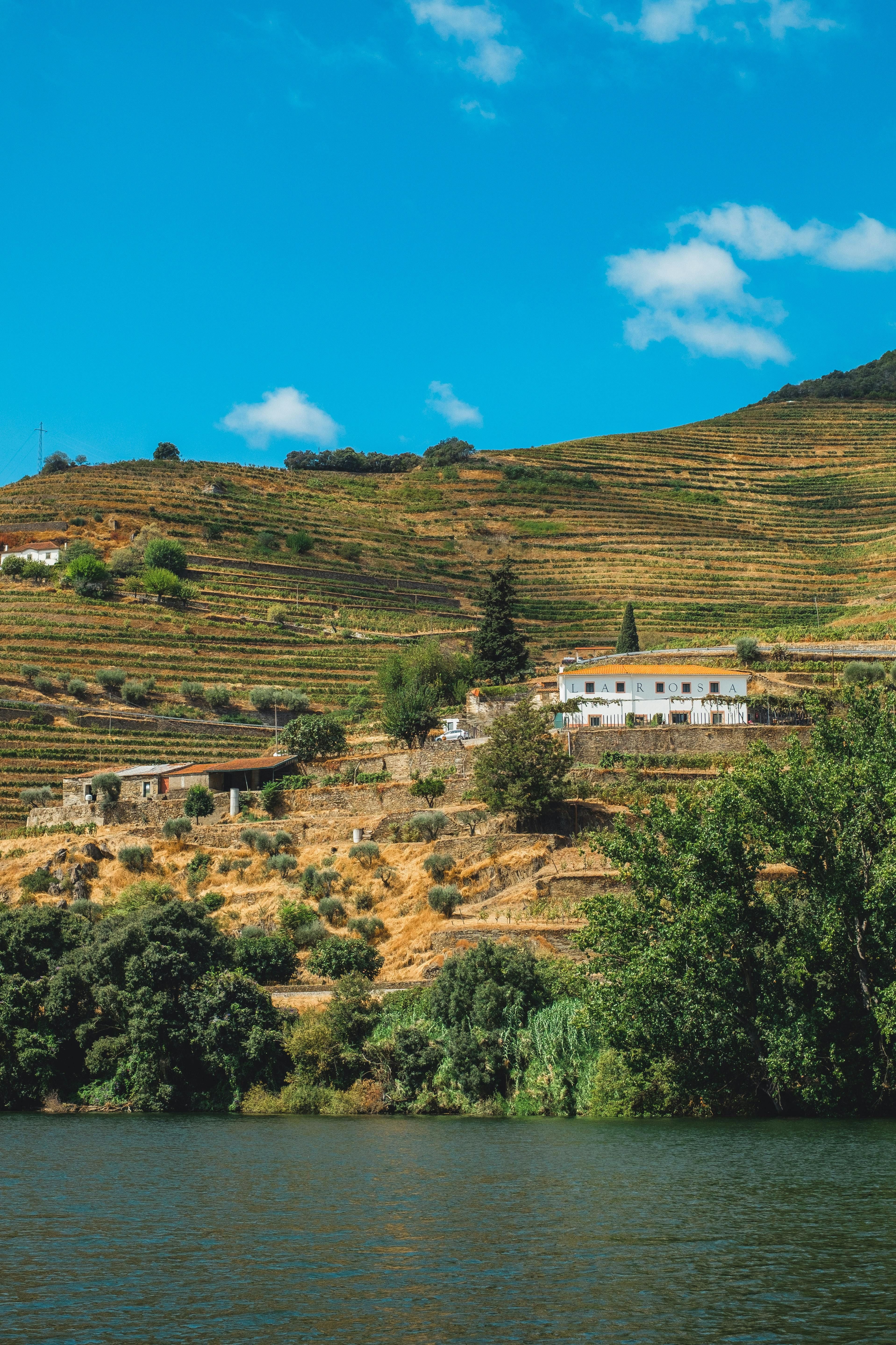 DOURO VALLEY WINE TASTING